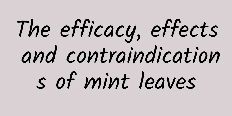 The efficacy, effects and contraindications of mint leaves