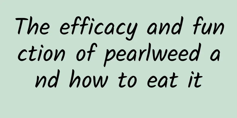 The efficacy and function of pearlweed and how to eat it