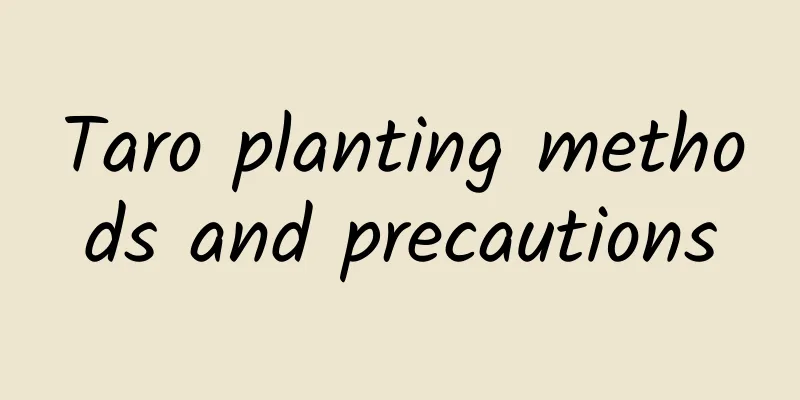 Taro planting methods and precautions