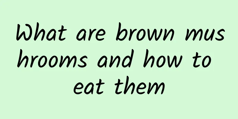 What are brown mushrooms and how to eat them