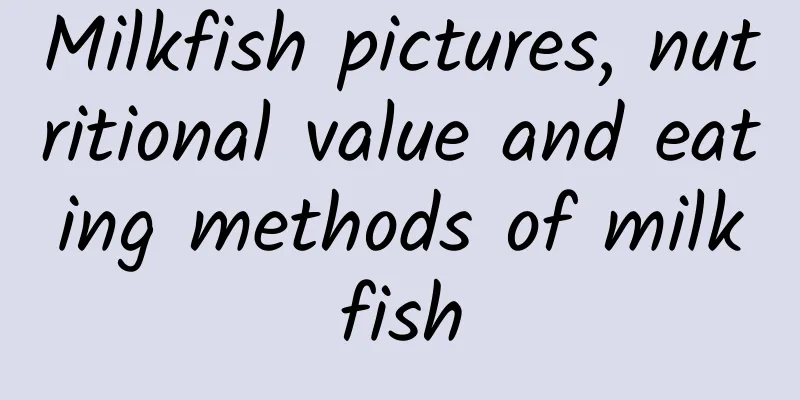 Milkfish pictures, nutritional value and eating methods of milkfish