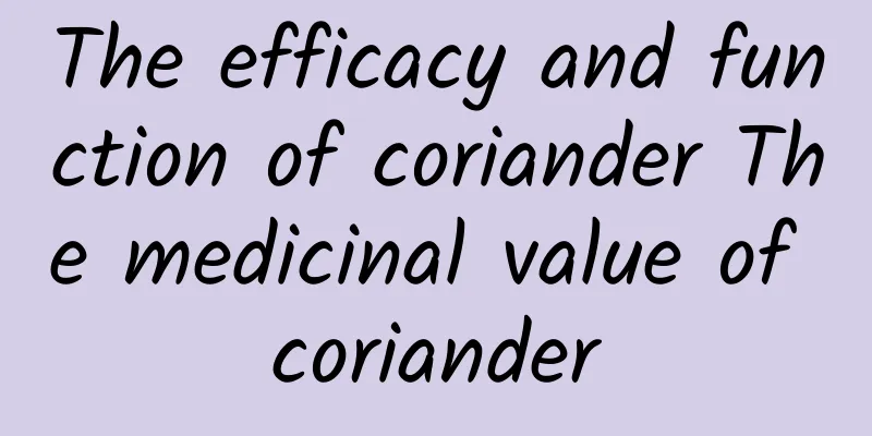 The efficacy and function of coriander The medicinal value of coriander