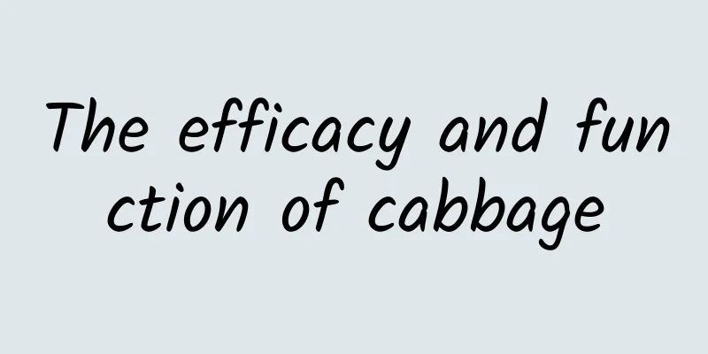 The efficacy and function of cabbage