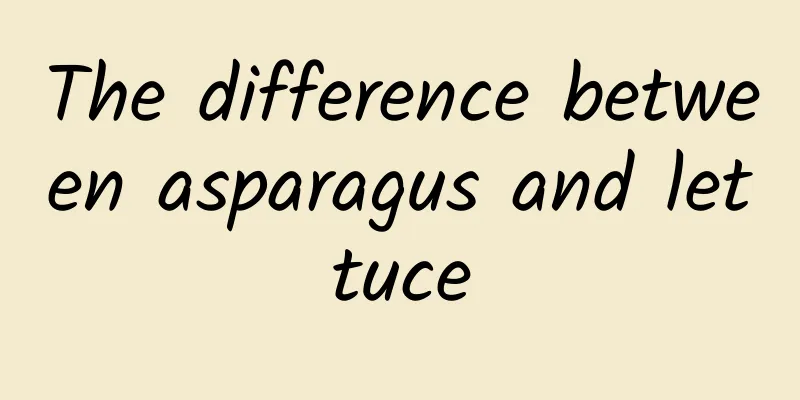 The difference between asparagus and lettuce