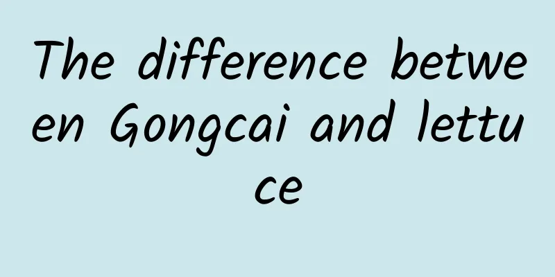 The difference between Gongcai and lettuce