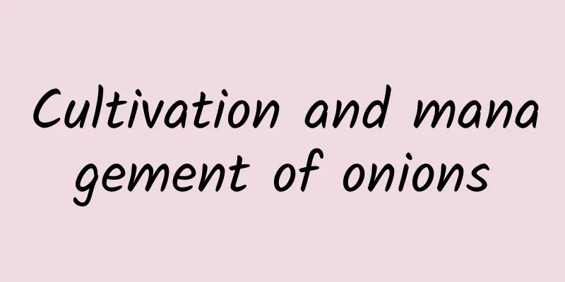 Cultivation and management of onions