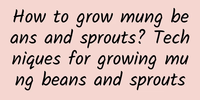 How to grow mung beans and sprouts? Techniques for growing mung beans and sprouts