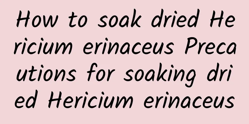 How to soak dried Hericium erinaceus Precautions for soaking dried Hericium erinaceus