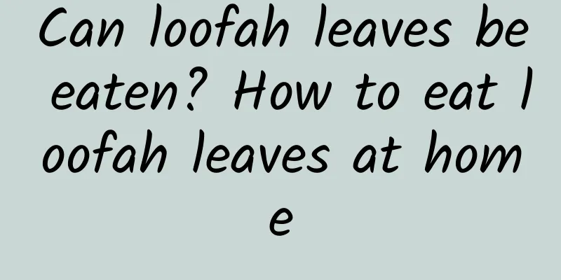 Can loofah leaves be eaten? How to eat loofah leaves at home