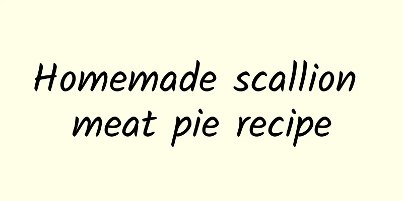 Homemade scallion meat pie recipe