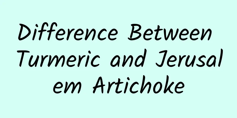 Difference Between Turmeric and Jerusalem Artichoke