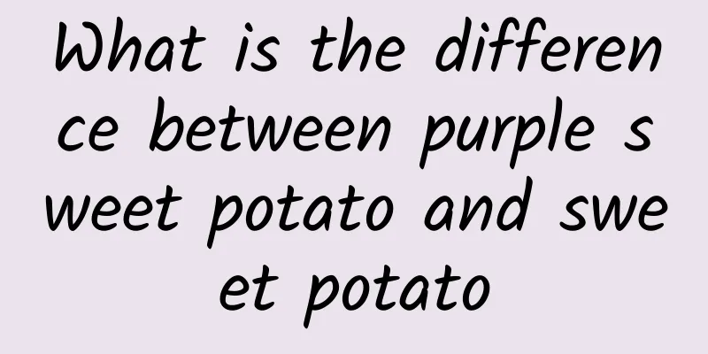 What is the difference between purple sweet potato and sweet potato