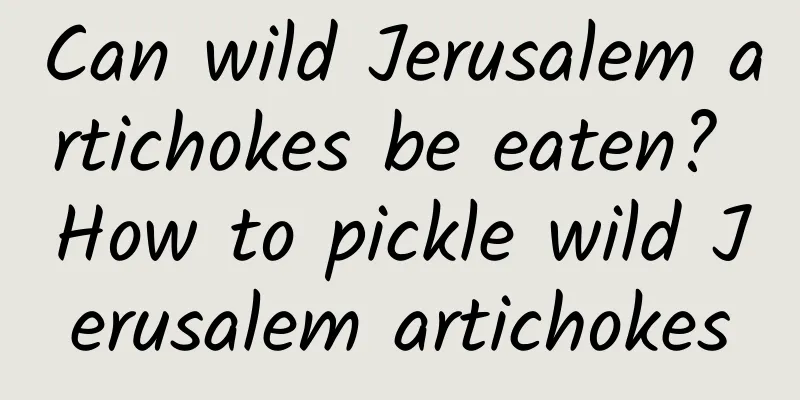 Can wild Jerusalem artichokes be eaten? How to pickle wild Jerusalem artichokes