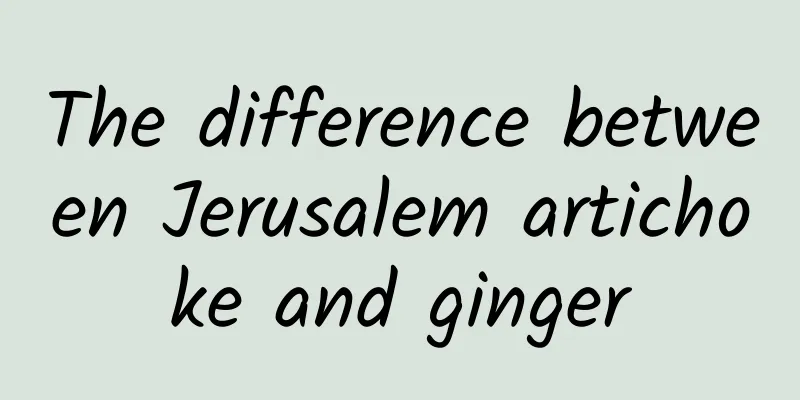 The difference between Jerusalem artichoke and ginger