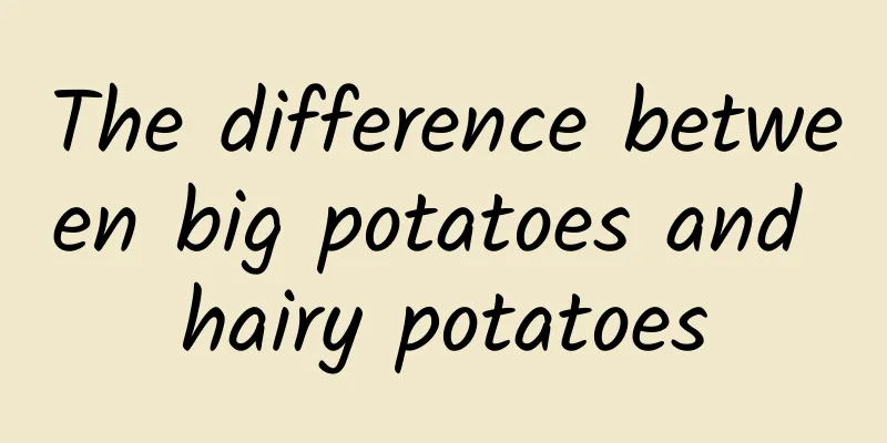 The difference between big potatoes and hairy potatoes