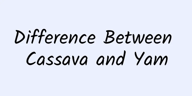 Difference Between Cassava and Yam