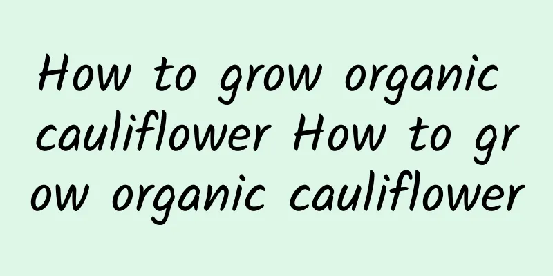 How to grow organic cauliflower How to grow organic cauliflower