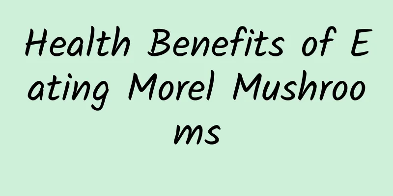 Health Benefits of Eating Morel Mushrooms