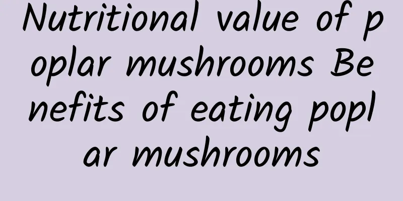 Nutritional value of poplar mushrooms Benefits of eating poplar mushrooms