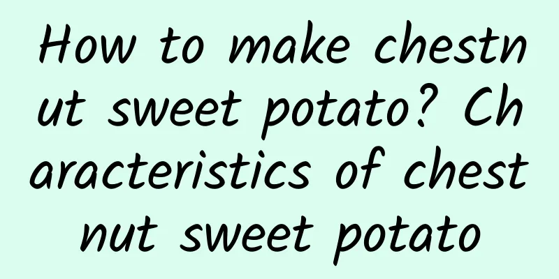 How to make chestnut sweet potato? Characteristics of chestnut sweet potato