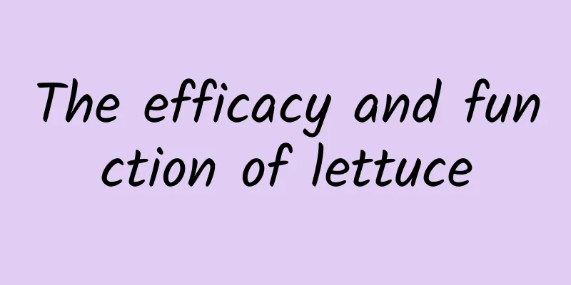 The efficacy and function of lettuce