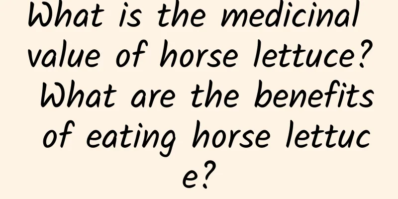 What is the medicinal value of horse lettuce? What are the benefits of eating horse lettuce?