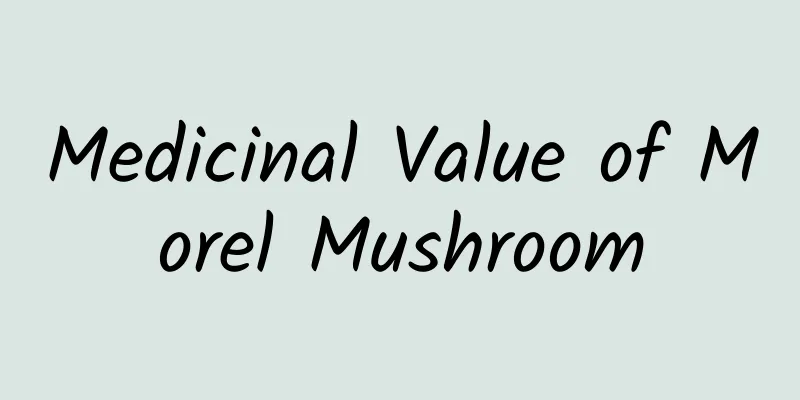 Medicinal Value of Morel Mushroom