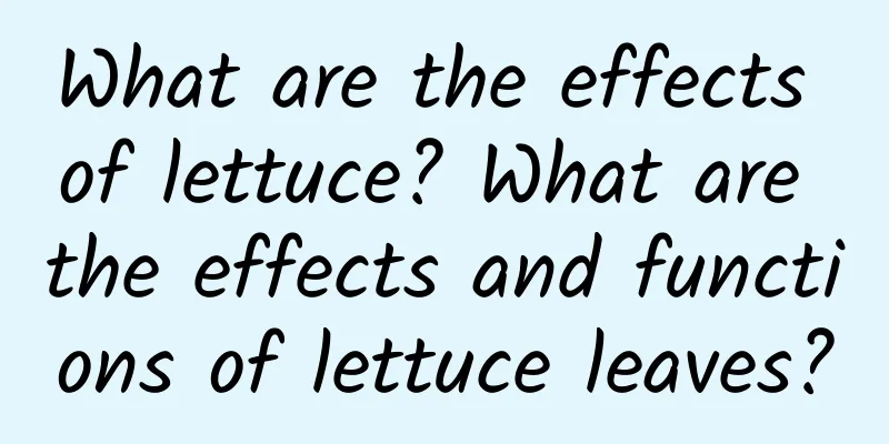 What are the effects of lettuce? What are the effects and functions of lettuce leaves?