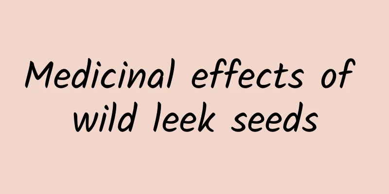 Medicinal effects of wild leek seeds