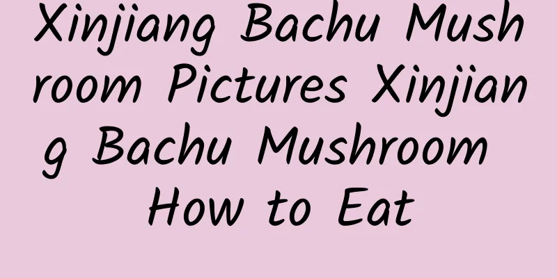 Xinjiang Bachu Mushroom Pictures Xinjiang Bachu Mushroom How to Eat