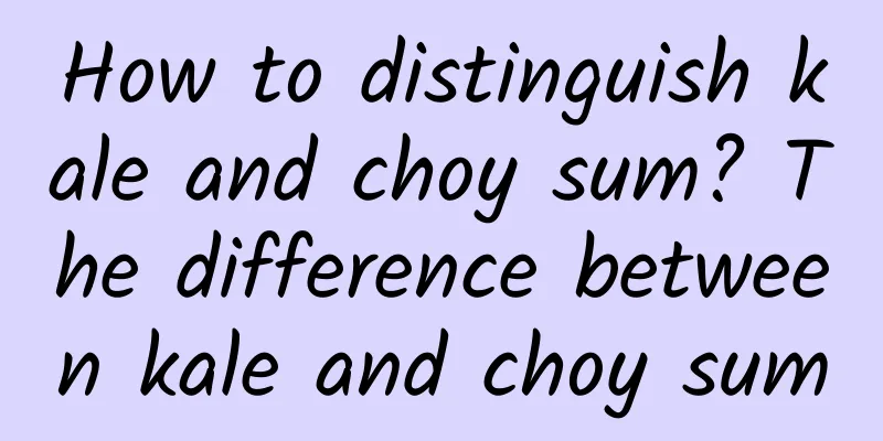 How to distinguish kale and choy sum? The difference between kale and choy sum