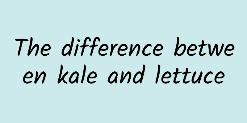 The difference between kale and lettuce