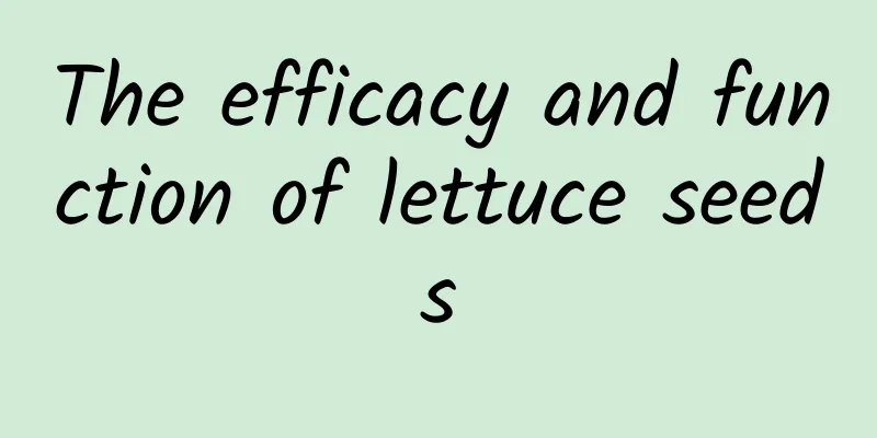 The efficacy and function of lettuce seeds