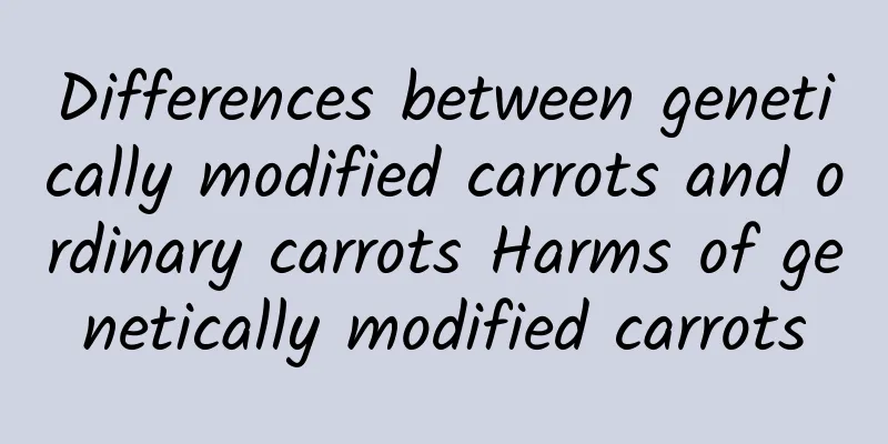 Differences between genetically modified carrots and ordinary carrots Harms of genetically modified carrots