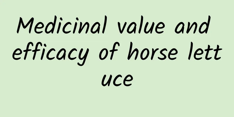 Medicinal value and efficacy of horse lettuce