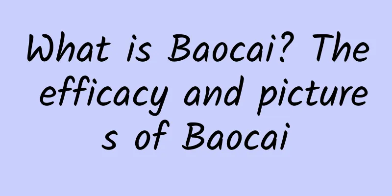 What is Baocai? The efficacy and pictures of Baocai