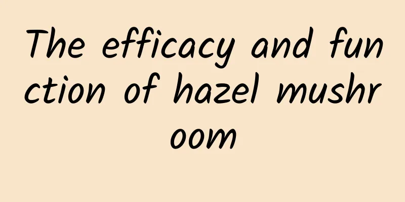 The efficacy and function of hazel mushroom