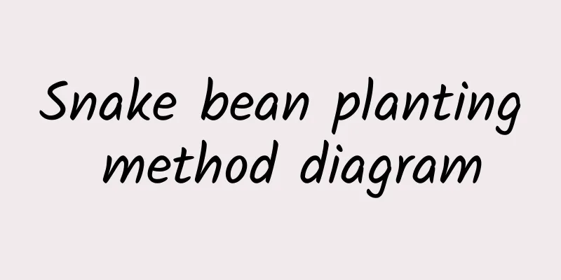 Snake bean planting method diagram