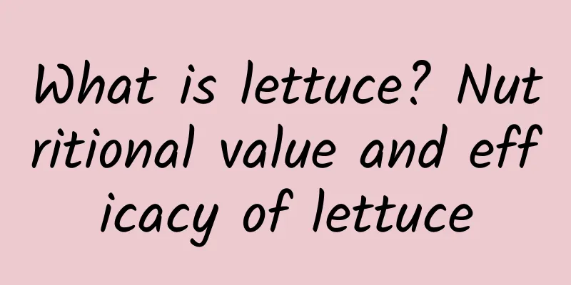 What is lettuce? Nutritional value and efficacy of lettuce