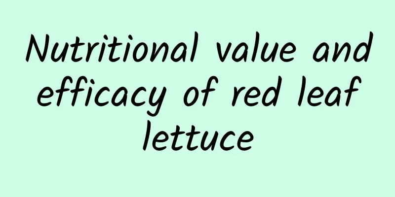 Nutritional value and efficacy of red leaf lettuce