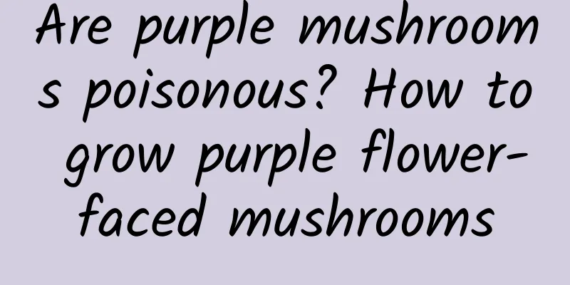 Are purple mushrooms poisonous? How to grow purple flower-faced mushrooms