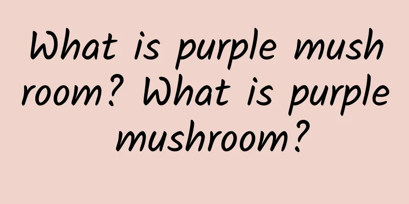 What is purple mushroom? What is purple mushroom?