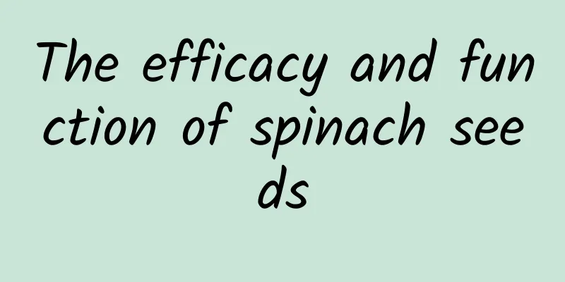 The efficacy and function of spinach seeds