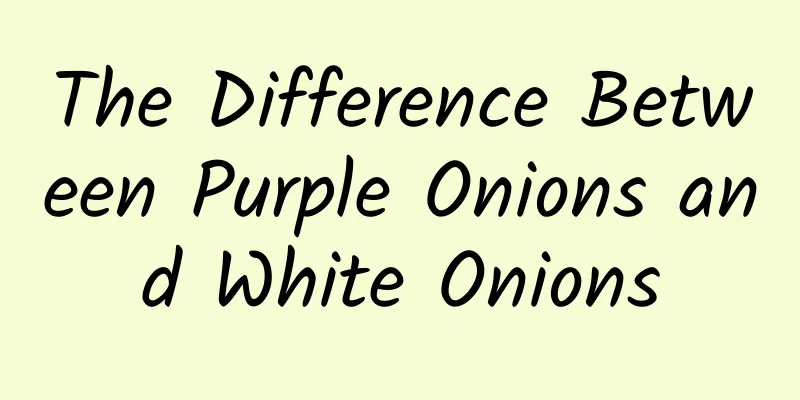 The Difference Between Purple Onions and White Onions