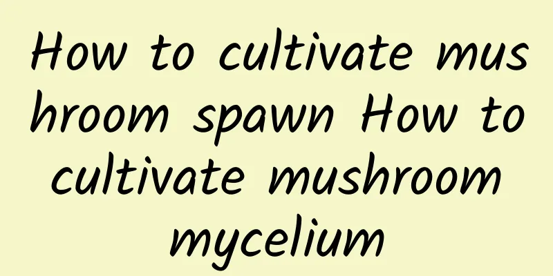 How to cultivate mushroom spawn How to cultivate mushroom mycelium