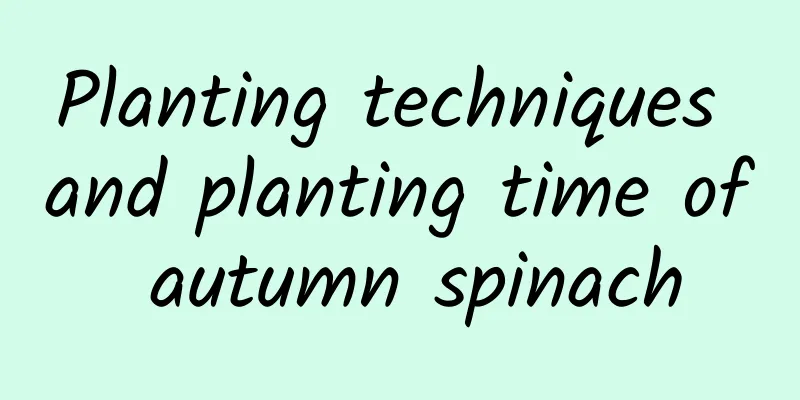 Planting techniques and planting time of autumn spinach