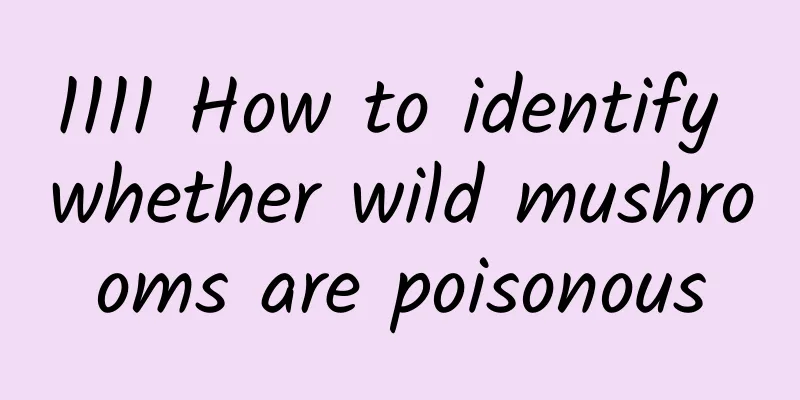 1111 How to identify whether wild mushrooms are poisonous