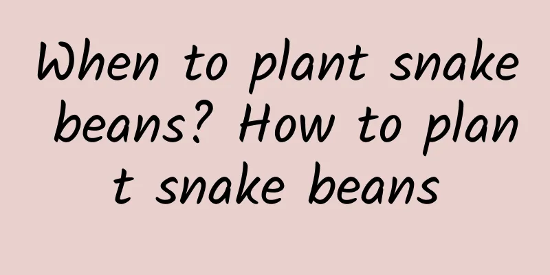 When to plant snake beans? How to plant snake beans