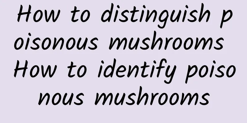 How to distinguish poisonous mushrooms How to identify poisonous mushrooms