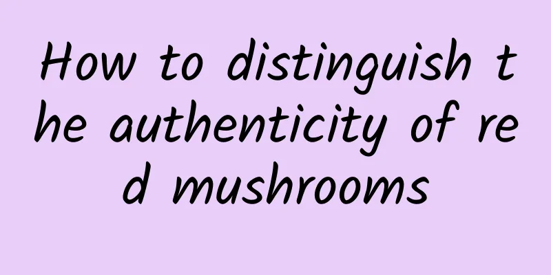 How to distinguish the authenticity of red mushrooms